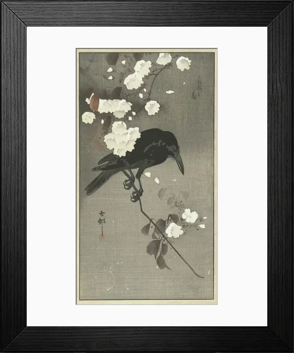 Framed Print : Crow with cherry blossom. Creator: Ohara, Koson (1877-1945) Framed Print : Crow with cherry blossom. Creator: Ohara, Koson (1877-1945)