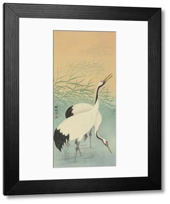 Framed Print : Two cranes, 1925-1936. Creator: Ohara, Koson (1877-1945) Framed Print : Two cranes, 1925-1936. Creator: Ohara, Koson (1877-1945)