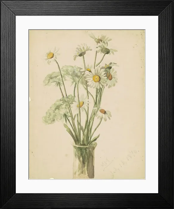 Framed Print : Daisies and Queen Anne's Lace, 1890. Creator: Marietta Minnigerode Andrews Framed Print : Daisies and Queen Anne's Lace, 1890. Creator: Marietta Minnigerode Andrews