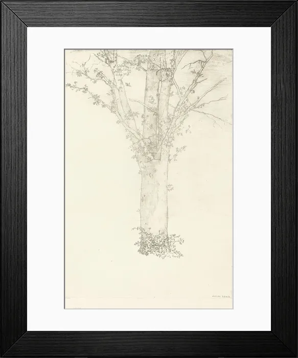 Framed Print : Arbre (Tree), 1892. Creator: Odilon Redon Framed Print : Arbre (Tree), 1892. Creator: Odilon Redon