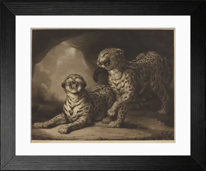 Framed Print : Leopards, 1798. Creator: Samuel William Reynolds Framed Print : Leopards, 1798. Creator: Samuel William Reynolds