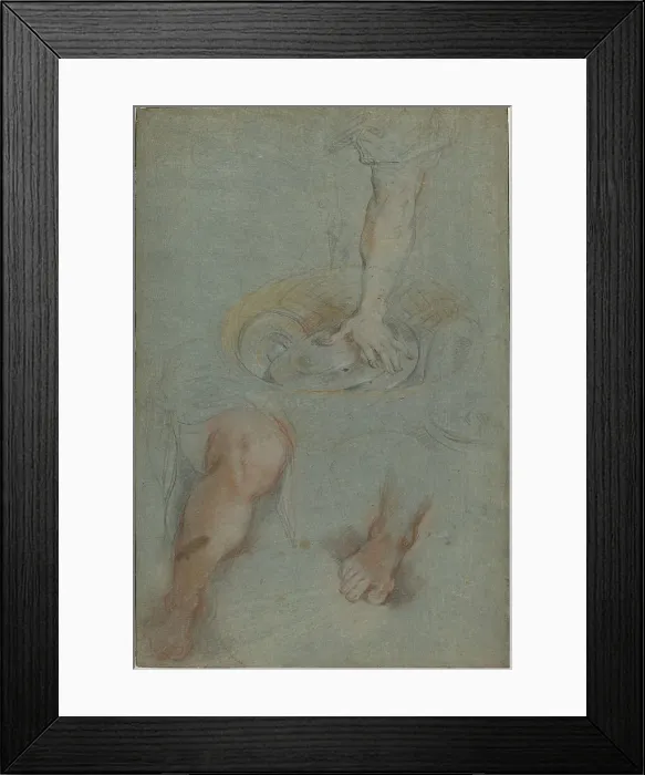 Framed Print : Studies for a Servant in The Last Supper, c. 1590 / 1599. Creator: Federico Barocci. Studies for a Servant in The Last Supper, c. 1590 / 1599. Creator: Federico Barocci Framed Print : Studies for a Servant in The Last Supper, c. 1590 / 1599. Creator: Federico Barocci. Studies for a Servant in The Last Supper, c. 1590 / 1599. Creator: Federico Barocci