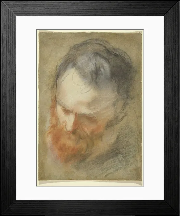 Framed Print : Head of a Bearded Man, 1579 / 1582. Creator: Federico Barocci Framed Print : Head of a Bearded Man, 1579 / 1582. Creator: Federico Barocci