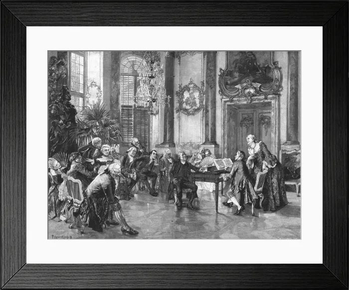 Framed Print : A Matinee, after Herr Mayer Mainz, 1891. Creator: Unknown Framed Print : A Matinee, after Herr Mayer Mainz, 1891. Creator: Unknown