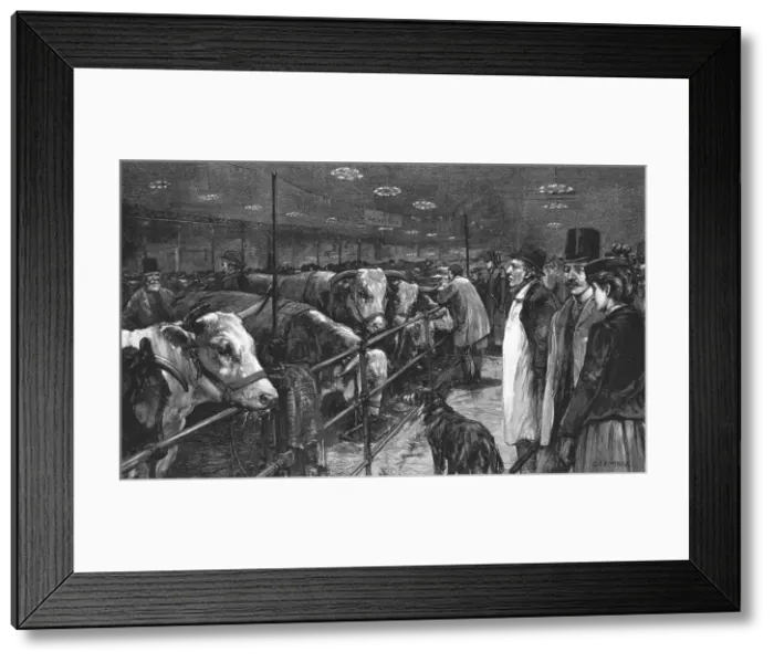 Framed Print : The Smithfield Club Cattle Show at the Agricultural Hall, 1891. Creator: George Harrison Framed Print : The Smithfield Club Cattle Show at the Agricultural Hall, 1891. Creator: George Harrison