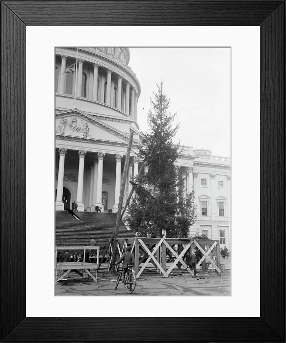 Framed Print : Christmas Trees - Christmas Tree At Capitol, 1913. Creator: Harris & Ewing. Christmas Trees - Christmas Tree At Capitol, 1913. Creator: Harris & Ewing Framed Print : Christmas Trees - Christmas Tree At Capitol, 1913. Creator: Harris & Ewing. Christmas Trees - Christmas Tree At Capitol, 1913. Creator: Harris & Ewing
