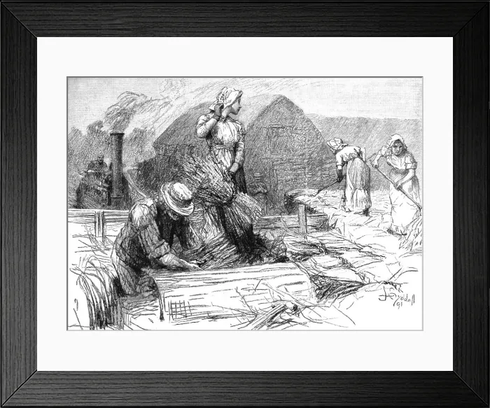 Framed Print : Scene from Tess of the D'Urbervilles, by Thomas Hardy, 1891. Creator: Sydall. Scene from Tess of the D'Urbervilles, by Thomas Hardy, 1891. Creator: Sydall Framed Print : Scene from Tess of the D'Urbervilles, by Thomas Hardy, 1891. Creator: Sydall. Scene from Tess of the D'Urbervilles, by Thomas Hardy, 1891. Creator: Sydall