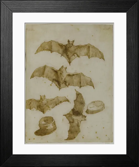 Framed Print : Study of bats and open box, 1790. Creator: Tiepolo, Giandomenico (1727-1804) Framed Print : Study of bats and open box, 1790. Creator: Tiepolo, Giandomenico (1727-1804)