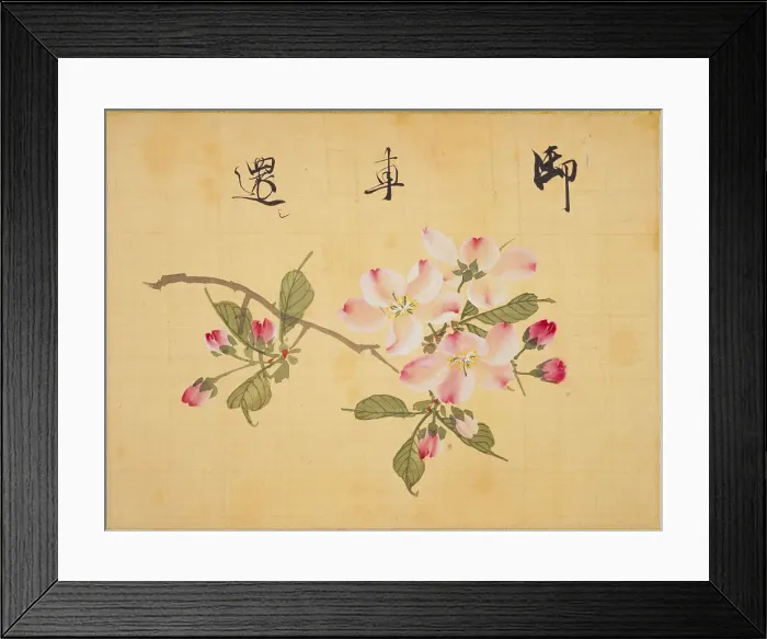 Framed Print : From the Sketch Book of Sakura (Cherry Blossoms), Between 1830 and 1853. Creator: Sakamoto, Konen (1800-1853) Framed Print : From the Sketch Book of Sakura (Cherry Blossoms), Between 1830 and 1853. Creator: Sakamoto, Konen (1800-1853)