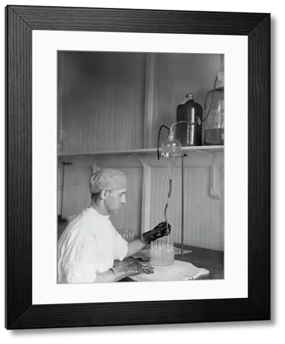 Framed Print : Army, U.S. Army Medical School; Typhoid Vaccine, 1917. Creator: Harris & Ewing. Army, U.S. Army Medical School; Typhoid Vaccine, 1917. Creator: Harris & Ewing Framed Print : Army, U.S. Army Medical School; Typhoid Vaccine, 1917. Creator: Harris & Ewing. Army, U.S. Army Medical School; Typhoid Vaccine, 1917. Creator: Harris & Ewing