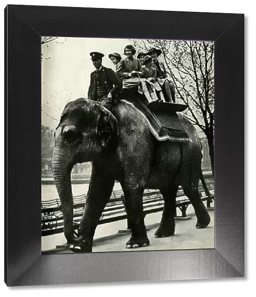 At the London Zoo - enjoying a ride on an elephant, 1939, (1947). Creator: Unknown