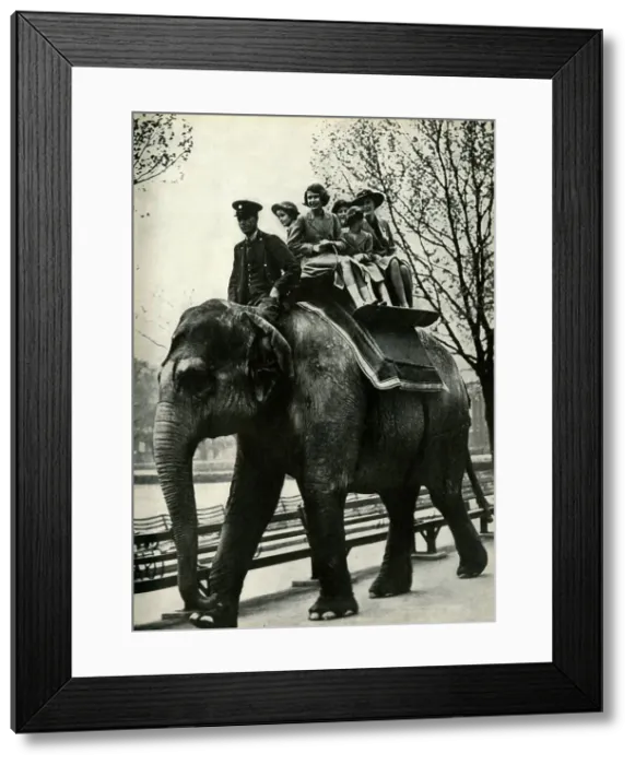 Framed Print : At the London Zoo - enjoying a ride on an elephant, 1939, (1947). Creator: Unknown Framed Print : At the London Zoo - enjoying a ride on an elephant, 1939, (1947). Creator: Unknown