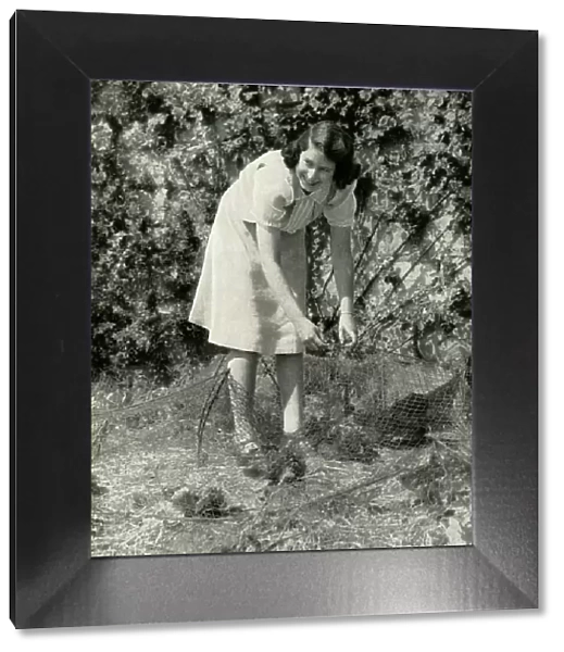 At Work in Her Garden - Windsor, 1941, 1947. Creator: Unknown