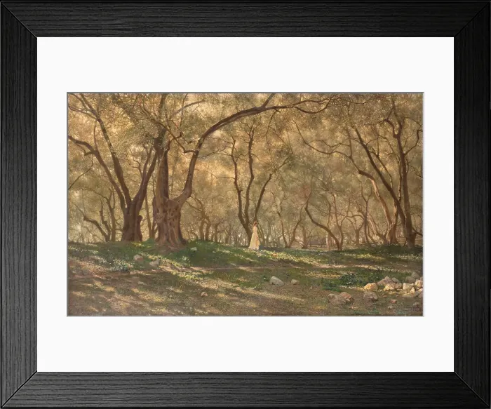 Framed Print : Young girl under the olive trees - Menton, c.1897. Creator: Henry Brokman Framed Print : Young girl under the olive trees - Menton, c.1897. Creator: Henry Brokman