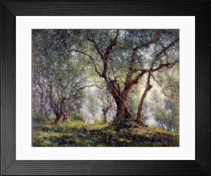 Framed Print : Olive trees in Menton, 18–07–1918. Creator: Henry Brokman Framed Print : Olive trees in Menton, 18–07–1918. Creator: Henry Brokman