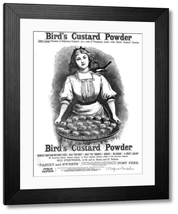 Framed Print : Bird's Custard Powder, 1886. Creator: Unknown Framed Print : Bird's Custard Powder, 1886. Creator: Unknown