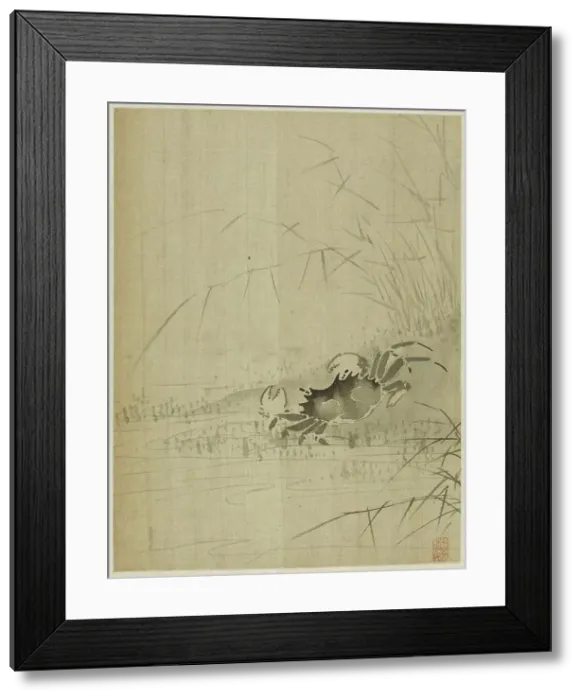 Framed Print : Album, 1661. Creator: Bin Xie Framed Print : Album, 1661. Creator: Bin Xie