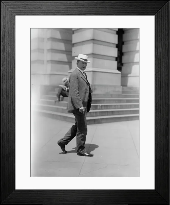 Framed Print : Richard Wilson Austin, Rep. from Tennessee, 1914. Creator: Harris & Ewing. Richard Wilson Austin, Rep. from Tennessee, 1914. Creator: Harris & Ewing Framed Print : Richard Wilson Austin, Rep. from Tennessee, 1914. Creator: Harris & Ewing. Richard Wilson Austin, Rep. from Tennessee, 1914. Creator: Harris & Ewing