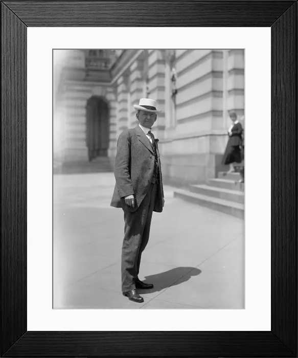 Framed Print : Richard Wilson Austin, Rep. from Tennessee, 1914. Creator: Harris & Ewing. Richard Wilson Austin, Rep. from Tennessee, 1914. Creator: Harris & Ewing Framed Print : Richard Wilson Austin, Rep. from Tennessee, 1914. Creator: Harris & Ewing. Richard Wilson Austin, Rep. from Tennessee, 1914. Creator: Harris & Ewing