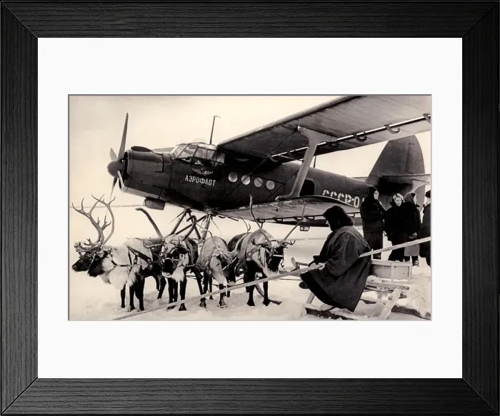 Framed Print : We Conquer the Open Spaces of the Arctic Regions and the Far North, 1932. Creator: Debabov, Dmitry Georgievich (1899-1949) Framed Print : We Conquer the Open Spaces of the Arctic Regions and the Far North, 1932. Creator: Debabov, Dmitry Georgievich (1899-1949)