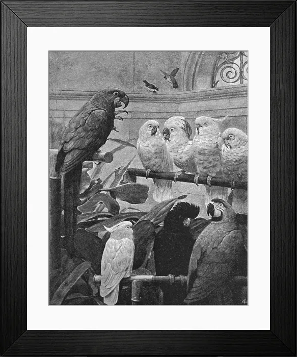 Framed Print : Pictures of the Year - V. A Select Committee, after HS Marks, RA, 1891. Creator: Unknown. Pictures of the Year - V. A Select Committee, after HS Marks, RA, 1891. Creator: Unknown Framed Print : Pictures of the Year - V. A Select Committee, after HS Marks, RA, 1891. Creator: Unknown. Pictures of the Year - V. A Select Committee, after HS Marks, RA, 1891. Creator: Unknown