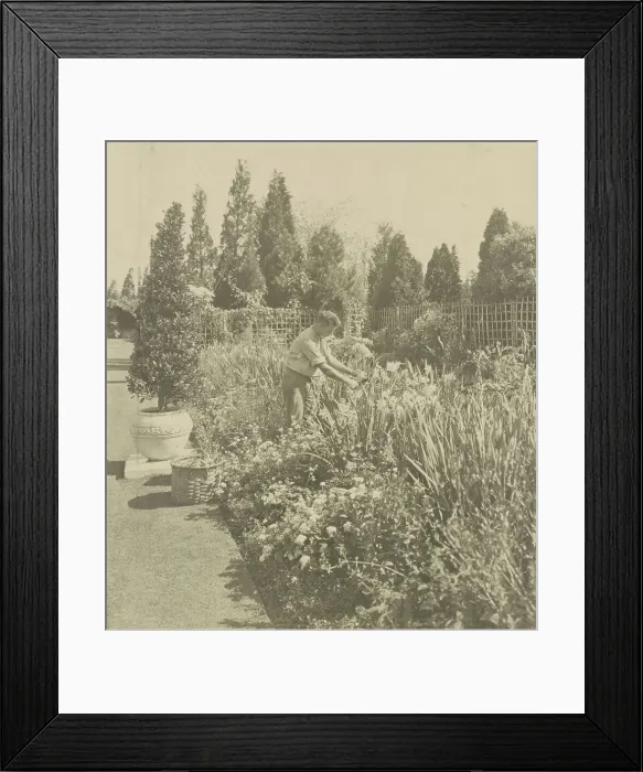 Framed Print : Gardener tending floral border, posed to...Rudyard Kipling's poem The Glory of the Garden, 1917. Creator: Frances Benjamin Johnston Framed Print : Gardener tending floral border, posed to...Rudyard Kipling's poem The Glory of the Garden, 1917. Creator: Frances Benjamin Johnston