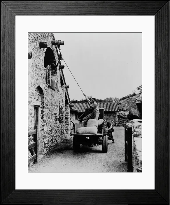 Framed Print : Surprise Valley Farm, Arthur Curtiss James property, Beacon Hill Road, Newport, Rhode Island, 1917 Creator: Frances Benjamin Johnston. Surprise Valley Farm, Arthur Curtiss James property, Beacon Hill Road, Newport, Rhode Island Framed Print : Surprise Valley Farm, Arthur Curtiss James property, Beacon Hill Road, Newport, Rhode Island, 1917 Creator: Frances Benjamin Johnston. Surprise Valley Farm, Arthur Curtiss James property, Beacon Hill Road, Newport, Rhode Island