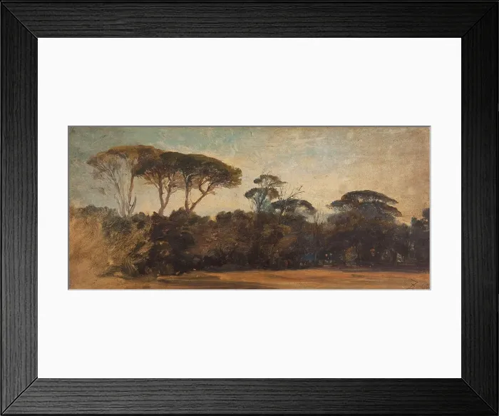 Framed Print : Pins parasols aux environs de Naples, c.1847. Creator: Felix Francois Georges Philibert Ziem Framed Print : Pins parasols aux environs de Naples, c.1847. Creator: Felix Francois Georges Philibert Ziem