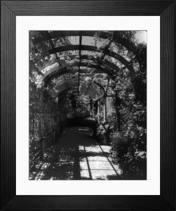 Framed Print : York Cottage, York Hall, York Co. Virginia, interior of arbor, between 1905 and 1933. Creator: Frances Benjamin Johnston Framed Print : York Cottage, York Hall, York Co. Virginia, interior of arbor, between 1905 and 1933. Creator: Frances Benjamin Johnston