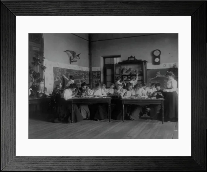 Framed Print : Students studying birds in biology class in a Washington, D.C. school, (1899?). Creator: Frances Benjamin Johnston Framed Print : Students studying birds in biology class in a Washington, D.C. school, (1899?). Creator: Frances Benjamin Johnston