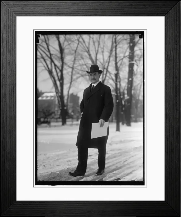 Framed Print : Houston, David Franklin, Secretary Of Agriculture, between 1914 and 1918. Creator: Harris & Ewing. Houston, David Franklin, Secretary Of Agriculture, between 1914 and 1918. Creator: Harris & Ewing Framed Print : Houston, David Franklin, Secretary Of Agriculture, between 1914 and 1918. Creator: Harris & Ewing. Houston, David Franklin, Secretary Of Agriculture, between 1914 and 1918. Creator: Harris & Ewing