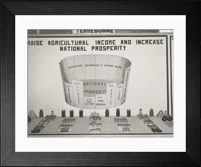 Framed Print : Poster in agricultural exhibit. South Louisiana State Fair, Donaldsonville, Louisiana, 1938-10. Creator: Russell Lee Framed Print : Poster in agricultural exhibit. South Louisiana State Fair, Donaldsonville, Louisiana, 1938-10. Creator: Russell Lee