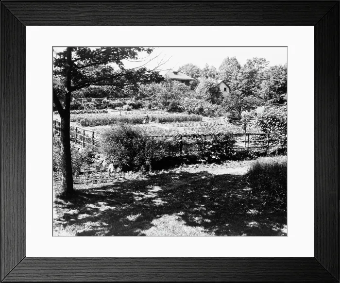 Framed Print : Chelmsford, Elon Huntington Hooker house, Greenwich, Connecticut. Vegetable garden, c1914. Creator: Frances Benjamin Johnston. Chelmsford, Elon Huntington Hooker house, Greenwich, Connecticut. Vegetable garden, c1914 Framed Print : Chelmsford, Elon Huntington Hooker house, Greenwich, Connecticut. Vegetable garden, c1914. Creator: Frances Benjamin Johnston. Chelmsford, Elon Huntington Hooker house, Greenwich, Connecticut. Vegetable garden, c1914