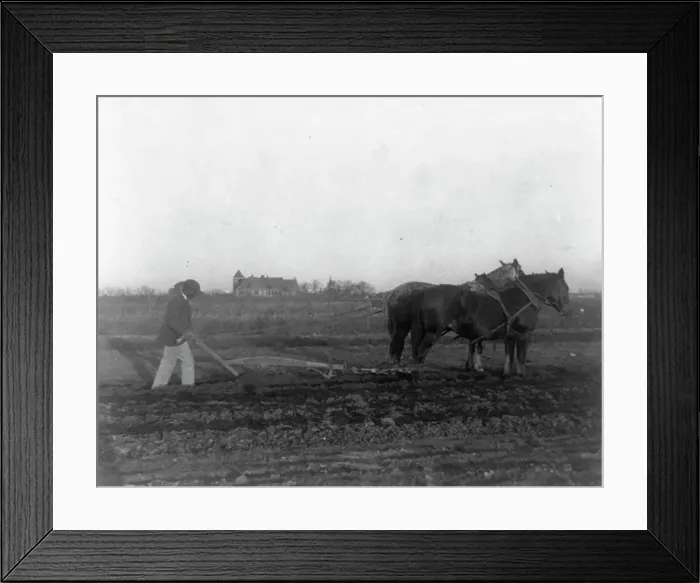 Framed Print : Improved method of plowing, (1899?). Creator: Frances Benjamin Johnston Framed Print : Improved method of plowing, (1899?). Creator: Frances Benjamin Johnston