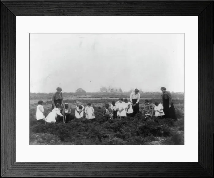 Framed Print : Kindergarten field work, 1899 or 1900. Creator: Frances Benjamin Johnston Framed Print : Kindergarten field work, 1899 or 1900. Creator: Frances Benjamin Johnston