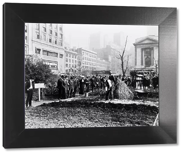 City experiment in gardening, New York City, c1922. Creator: Frances Benjamin Johnston