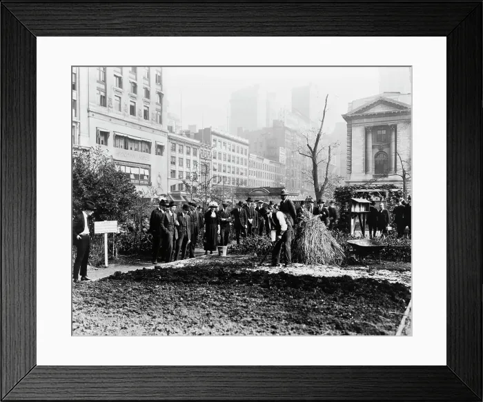 Framed Print : City experiment in gardening, New York City, c1922. Creator: Frances Benjamin Johnston Framed Print : City experiment in gardening, New York City, c1922. Creator: Frances Benjamin Johnston