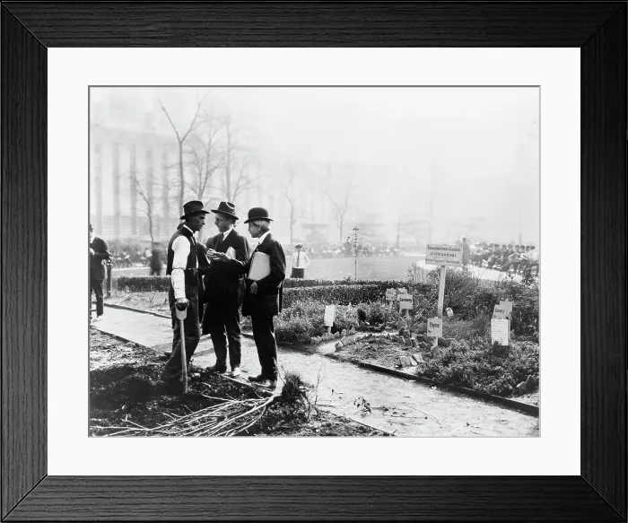 Framed Print : City experiment in gardening, New York City, c1922. Creator: Frances Benjamin Johnston Framed Print : City experiment in gardening, New York City, c1922. Creator: Frances Benjamin Johnston