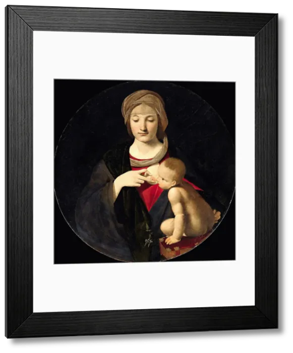 Framed Print : Madonna del latte, c.1508. Creator: Boltraffio, Giovanni Antonio (1467-1516)