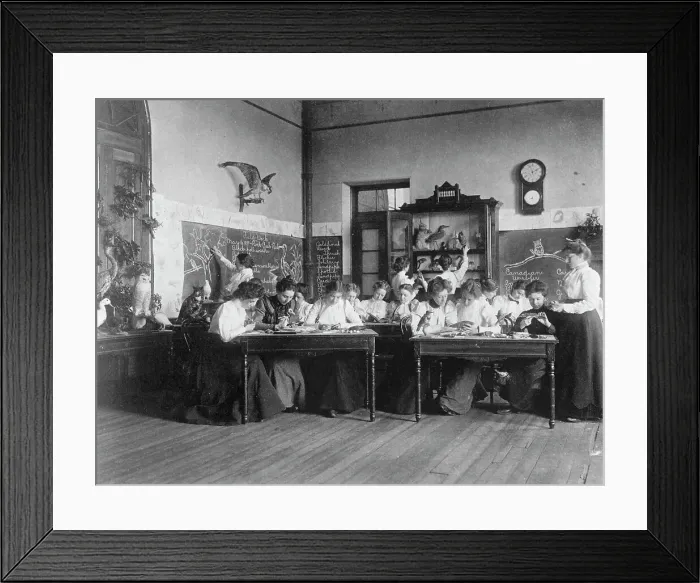 Framed Print : Young women in Washington, D.C. Normal School classroom studying birds, (1899?). Creator: Frances Benjamin Johnston Framed Print : Young women in Washington, D.C. Normal School classroom studying birds, (1899?). Creator: Frances Benjamin Johnston