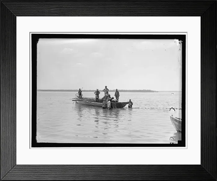 Framed Print : Net fishing, between 1909 and 1923. Creator: Harris & Ewing. Net fishing, between 1909 and 1923. Creator: Harris & Ewing Framed Print : Net fishing, between 1909 and 1923. Creator: Harris & Ewing. Net fishing, between 1909 and 1923. Creator: Harris & Ewing