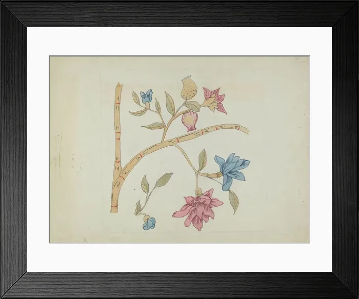 Framed Print : Applique Quilt, c. 1936. Creator: Mildred Prince Framed Print : Applique Quilt, c. 1936. Creator: Mildred Prince