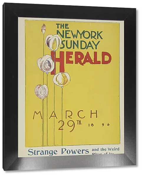The New York Sunday herald. March 29th 1896. c1896. Creator: Charles Hubbard Wright