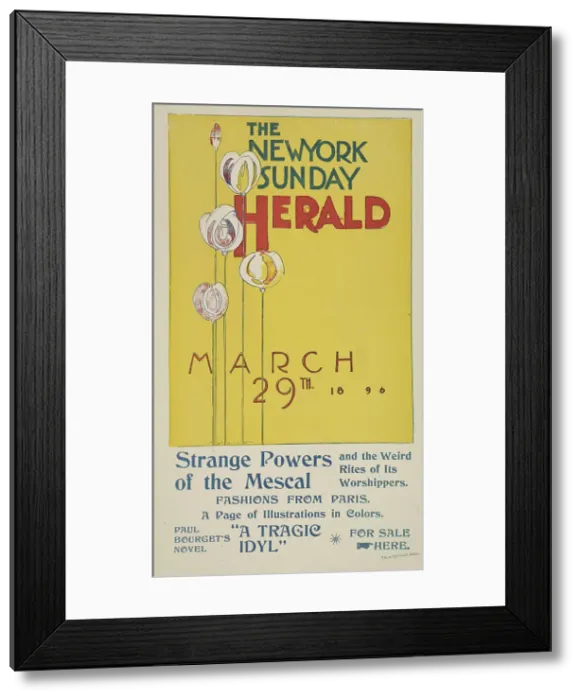 Framed Print : The New York Sunday herald. March 29th 1896. c1896. Creator: Charles Hubbard Wright Framed Print : The New York Sunday herald. March 29th 1896. c1896. Creator: Charles Hubbard Wright