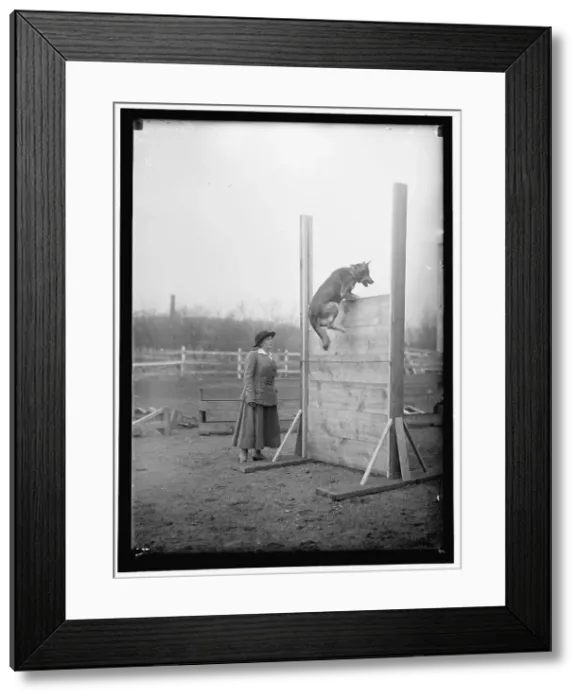 Framed Print : Society circus, between 1909 and 1923. Creator: Harris & Ewing. Society circus, between 1909 and 1923. Creator: Harris & Ewing Framed Print : Society circus, between 1909 and 1923. Creator: Harris & Ewing. Society circus, between 1909 and 1923. Creator: Harris & Ewing