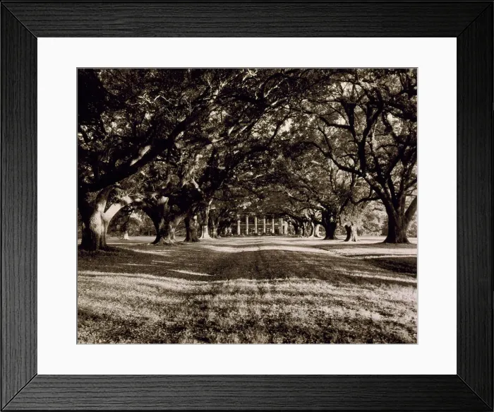 Framed Print : St. James Parish--Oak Alley, Vacherie, 1938. Creator: Frances Benjamin Johnston Framed Print : St. James Parish--Oak Alley, Vacherie, 1938. Creator: Frances Benjamin Johnston