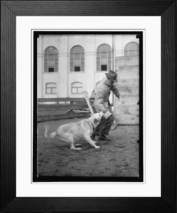 Framed Print : Society Circus, between 1909 and 1923. Creator: Harris & Ewing. Society Circus, between 1909 and 1923. Creator: Harris & Ewing Framed Print : Society Circus, between 1909 and 1923. Creator: Harris & Ewing. Society Circus, between 1909 and 1923. Creator: Harris & Ewing