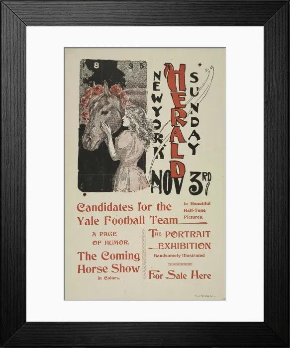 Framed Print : New York Sunday herald. Nov 3rd. c1895. Creator: Charles Hubbard Wright Framed Print : New York Sunday herald. Nov 3rd. c1895. Creator: Charles Hubbard Wright