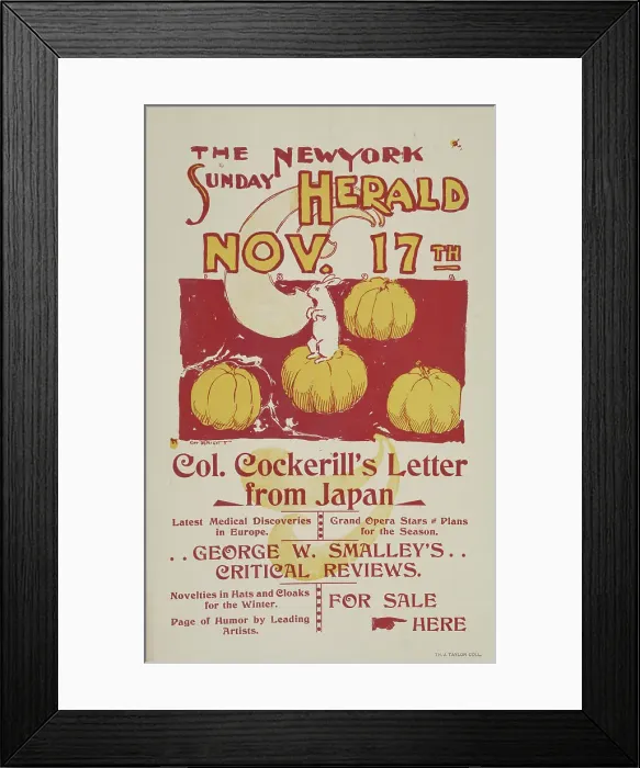 Framed Print : The New York Sunday herald. Nov. 17th. c1895. Creator: Charles Hubbard Wright Framed Print : The New York Sunday herald. Nov. 17th. c1895. Creator: Charles Hubbard Wright
