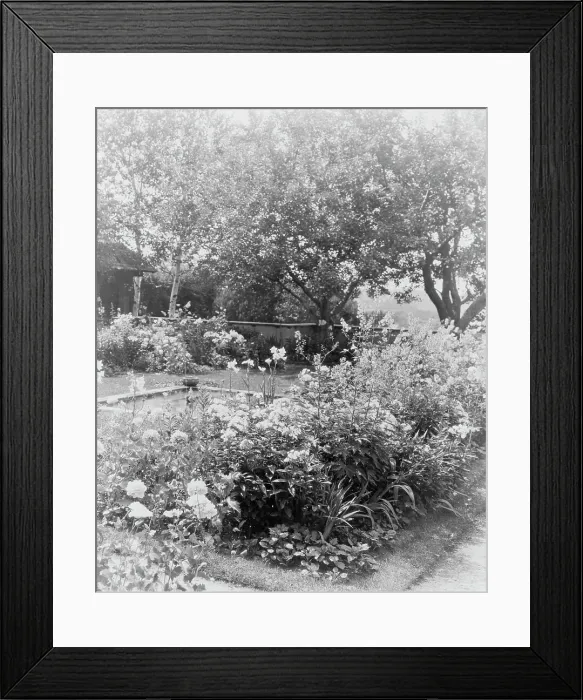 Framed Print : Flower garden, at the home of Mrs. Francis B. Harrington, Ipswich, Massachusetts, c1920 - 1940. Creator: Frances Benjamin Johnston Framed Print : Flower garden, at the home of Mrs. Francis B. Harrington, Ipswich, Massachusetts, c1920 - 1940. Creator: Frances Benjamin Johnston